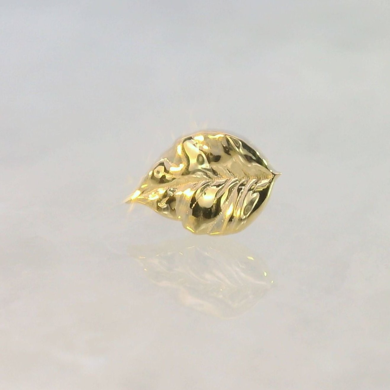 Elm Leaf 1A