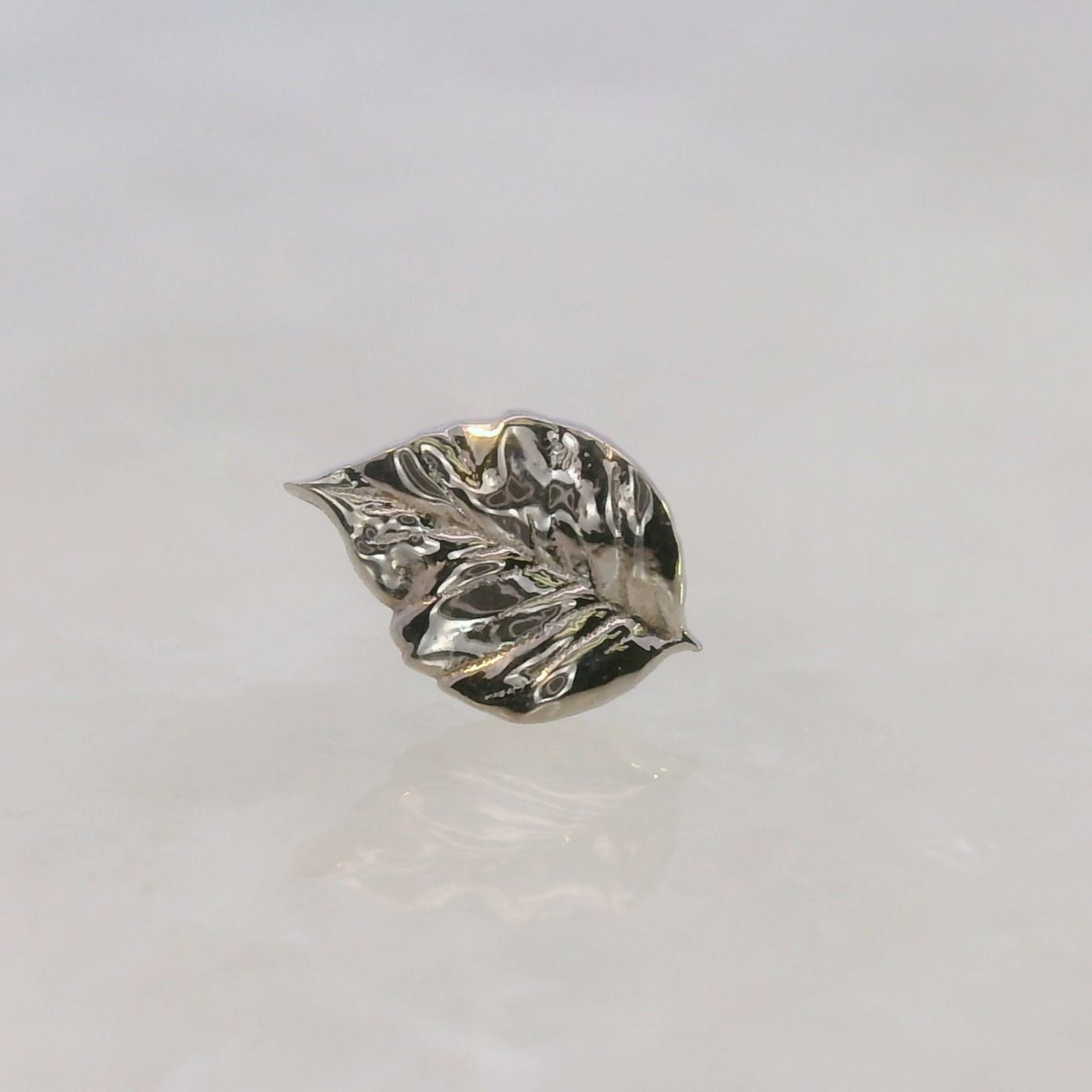 Elm Leaf 1A