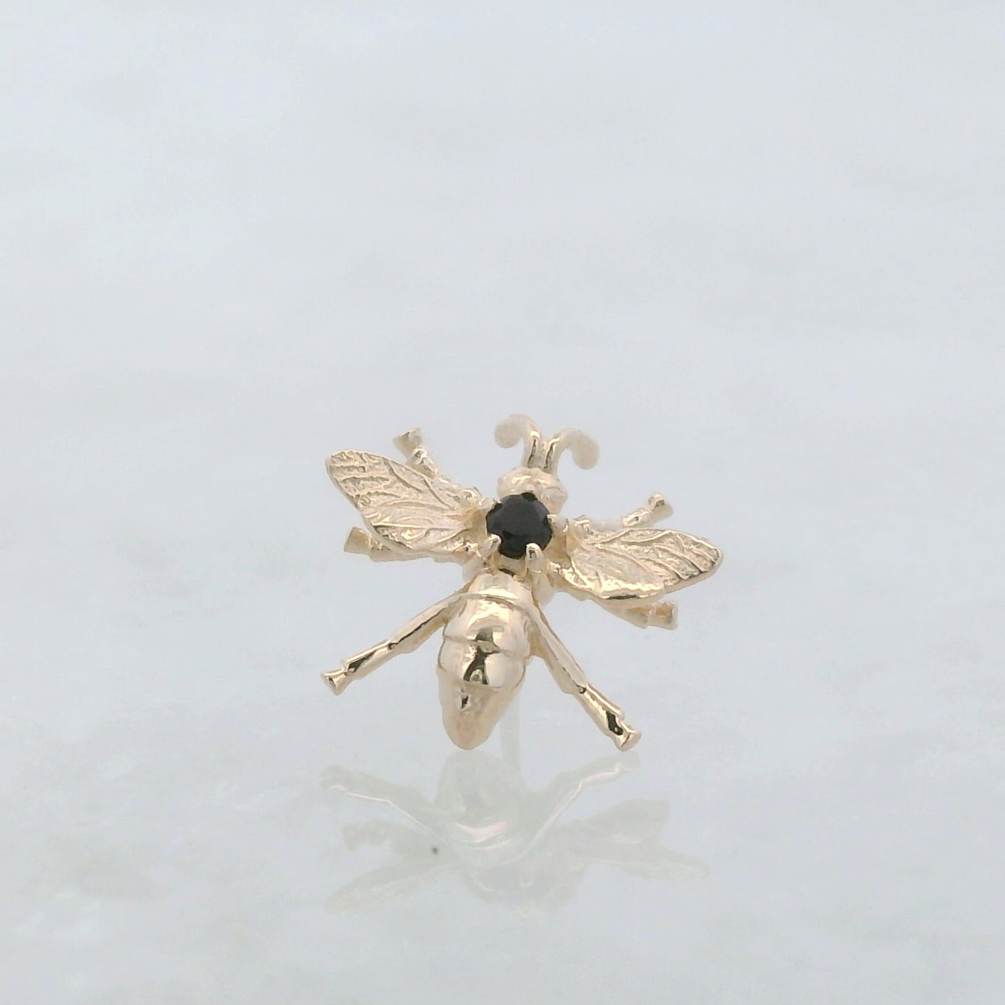 Wasp