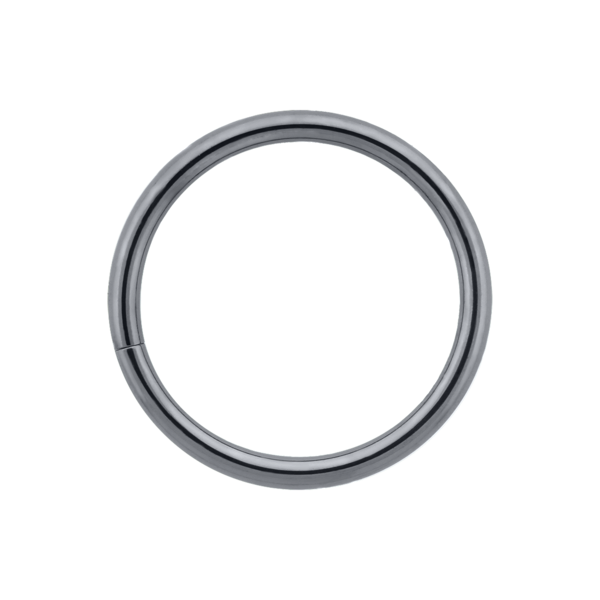 High Polish Niobium Seam Ring