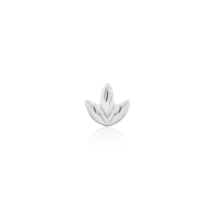Dr. Bloom