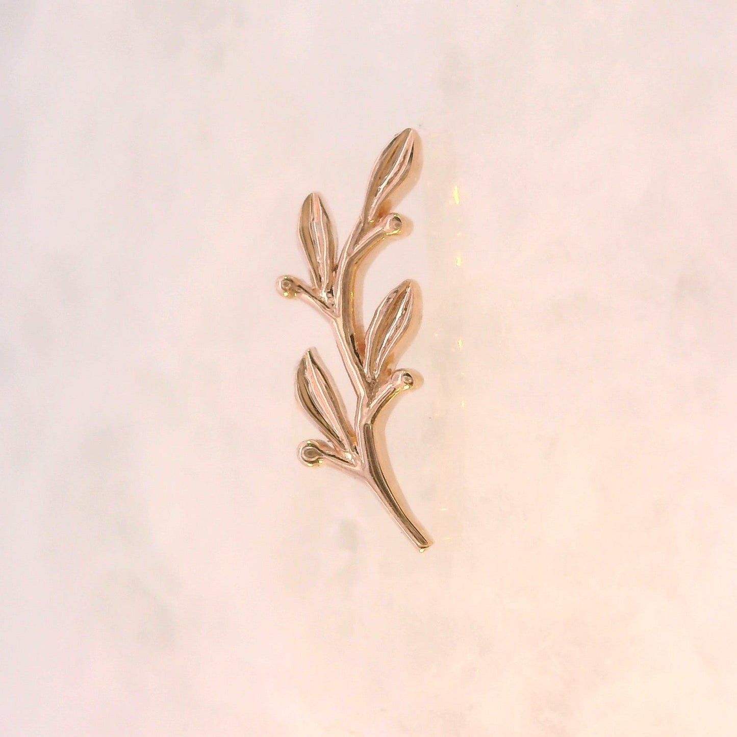 Amity Branch