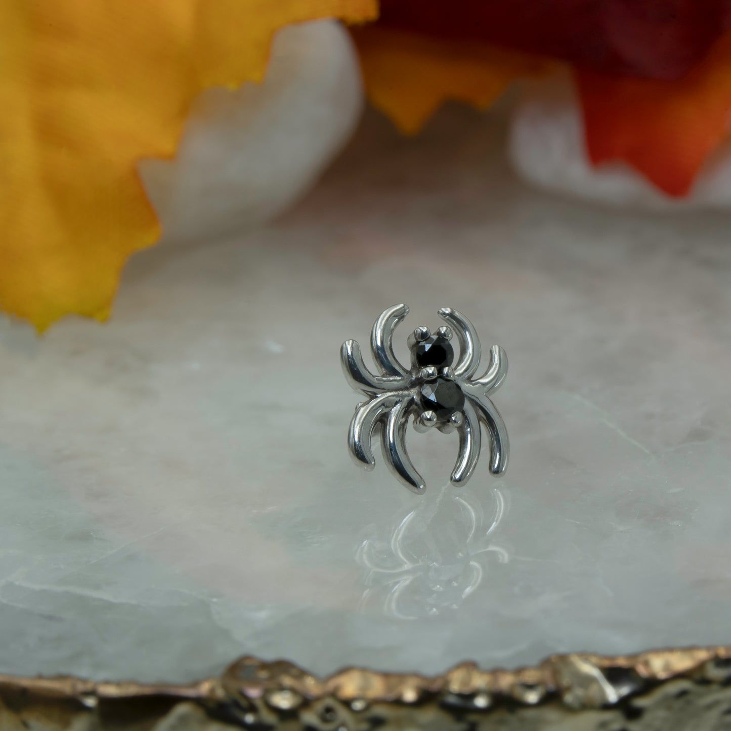 Venomous Spider