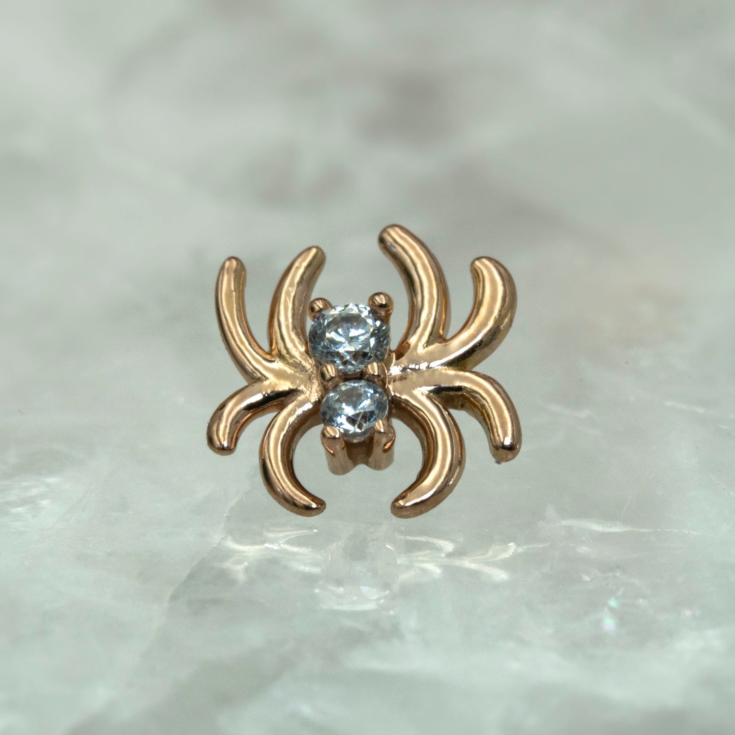 Venomous Spider
