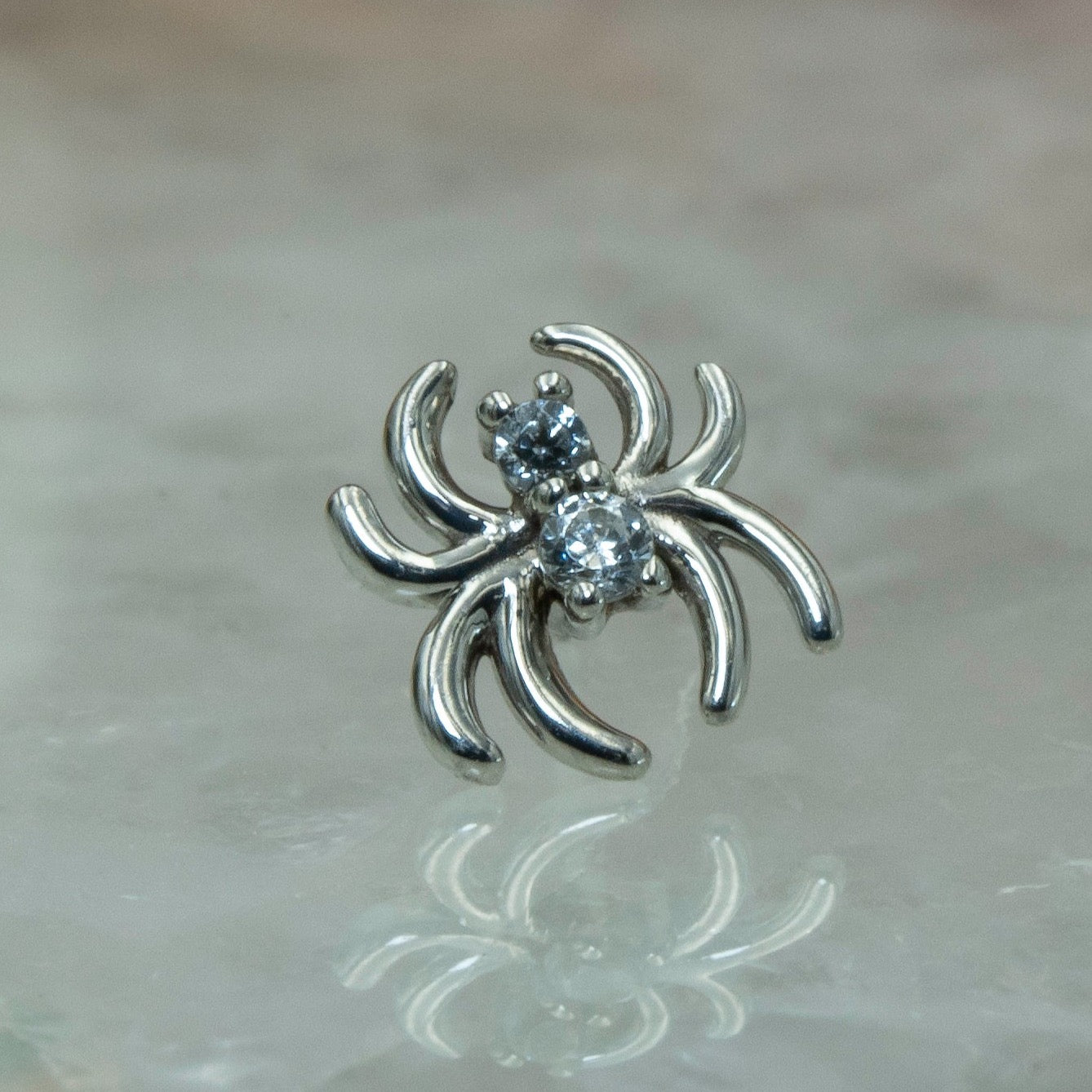 Venomous Spider