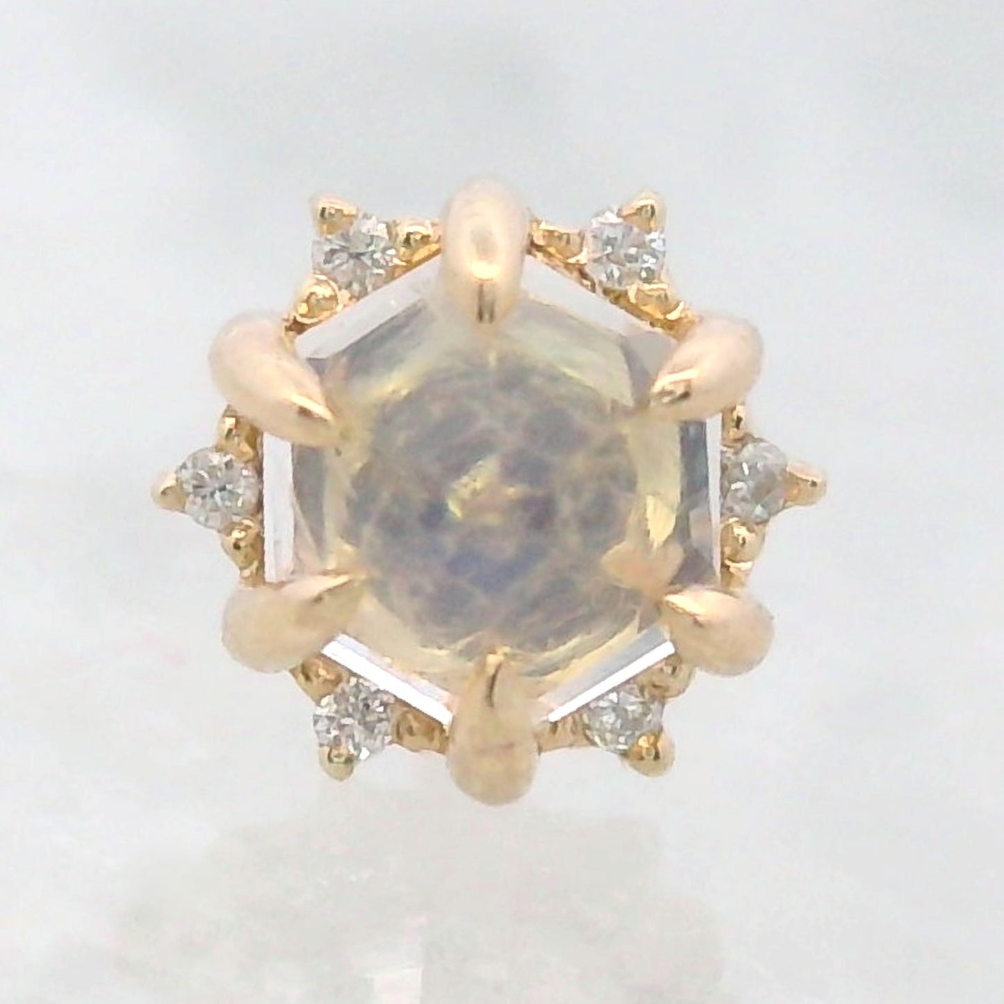 Hexagon Claw Prong
