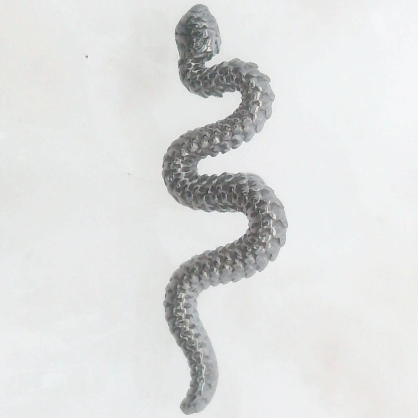 Delicate Snake