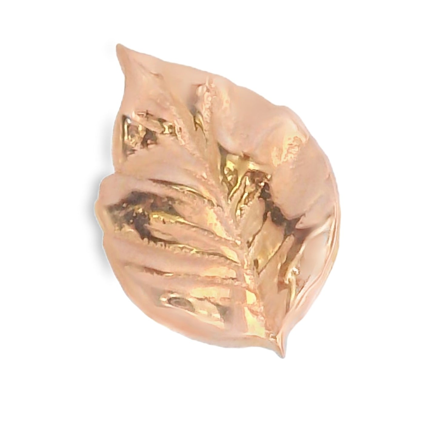 Elm Leaf 1A
