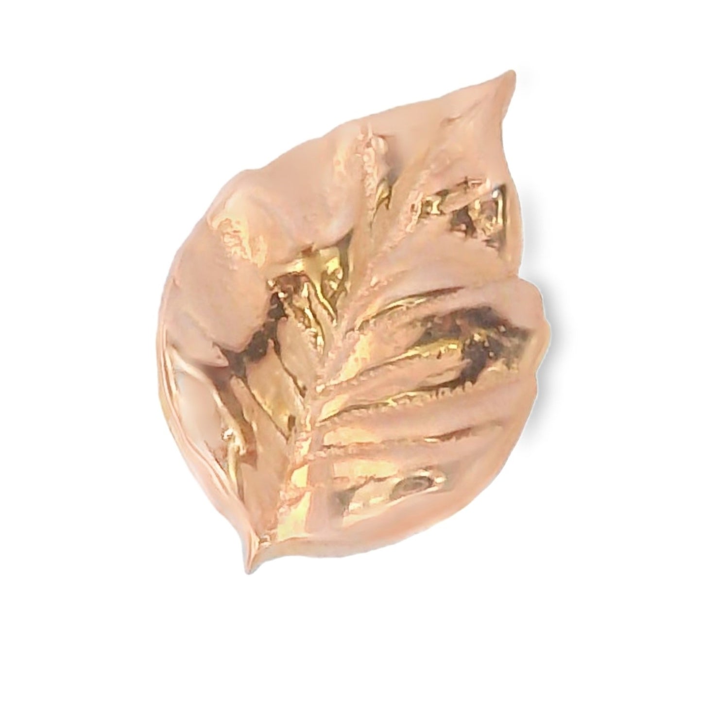 Elm Leaf 1A