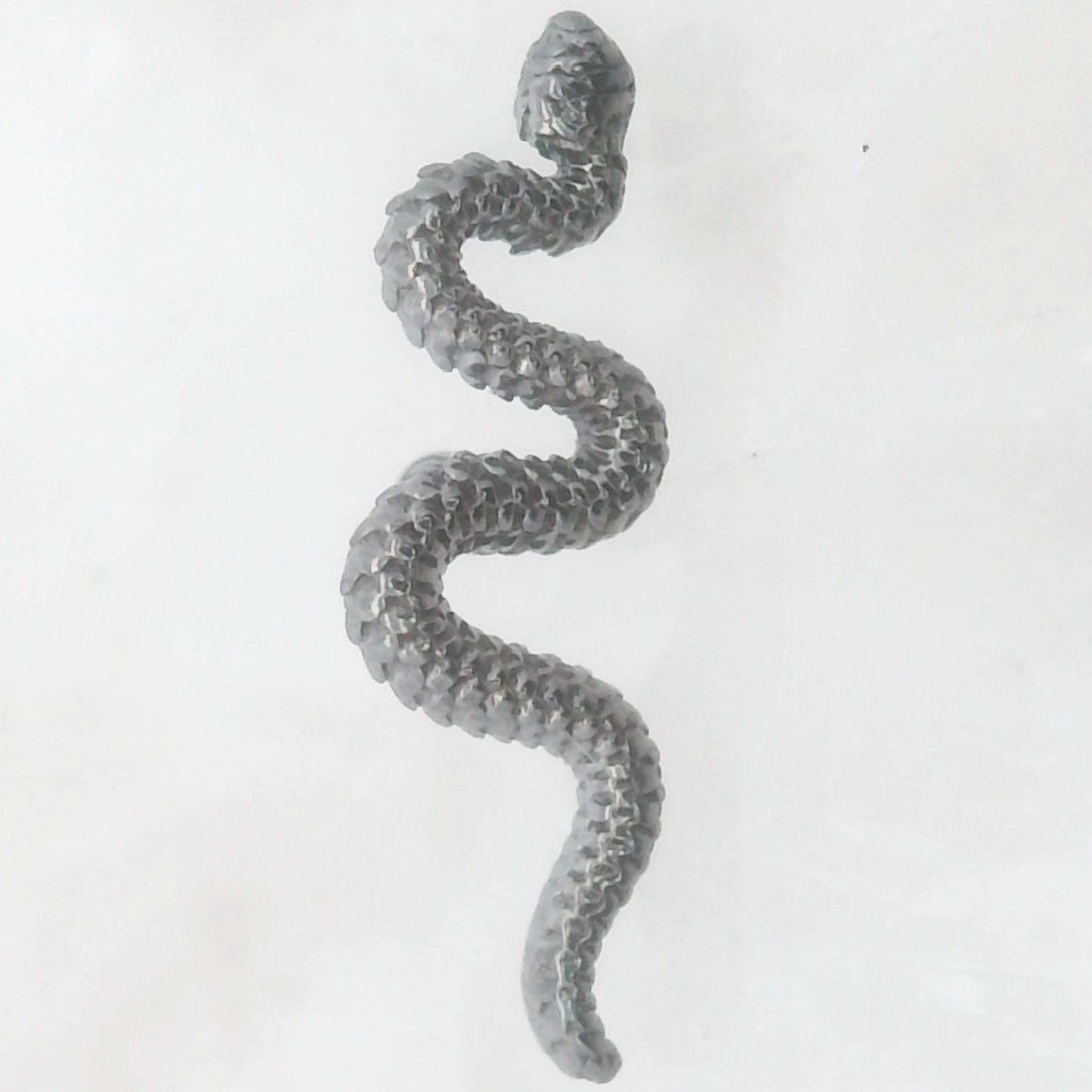 Delicate Snake