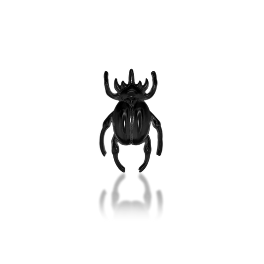 Rhinoceros Beetle