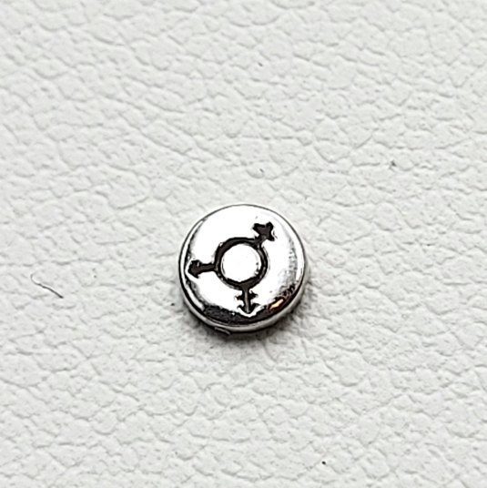 Trans Equality