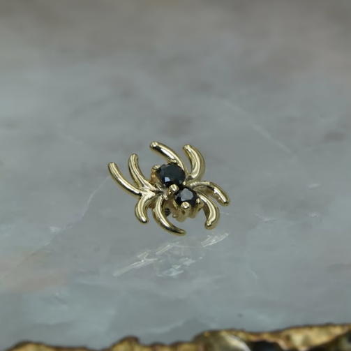 Venomous Spider