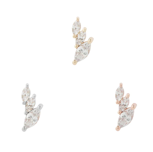 Multiplicity