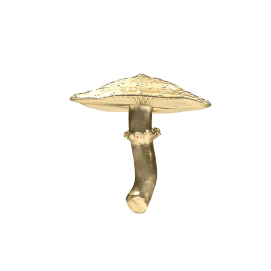 Mushroom 6