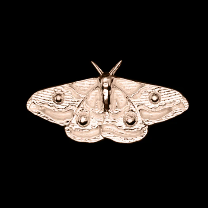 Empress Moth