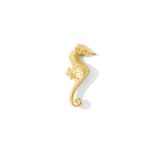 Seahorse