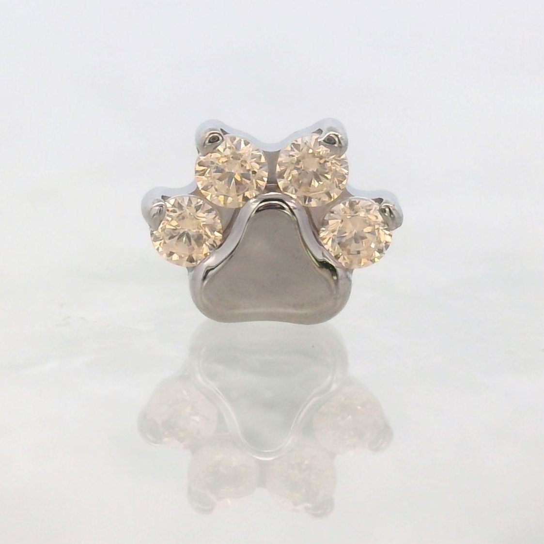 Paw Print With Gems
