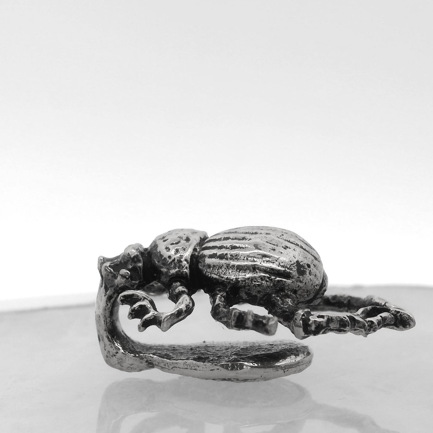 Beetle Weights
