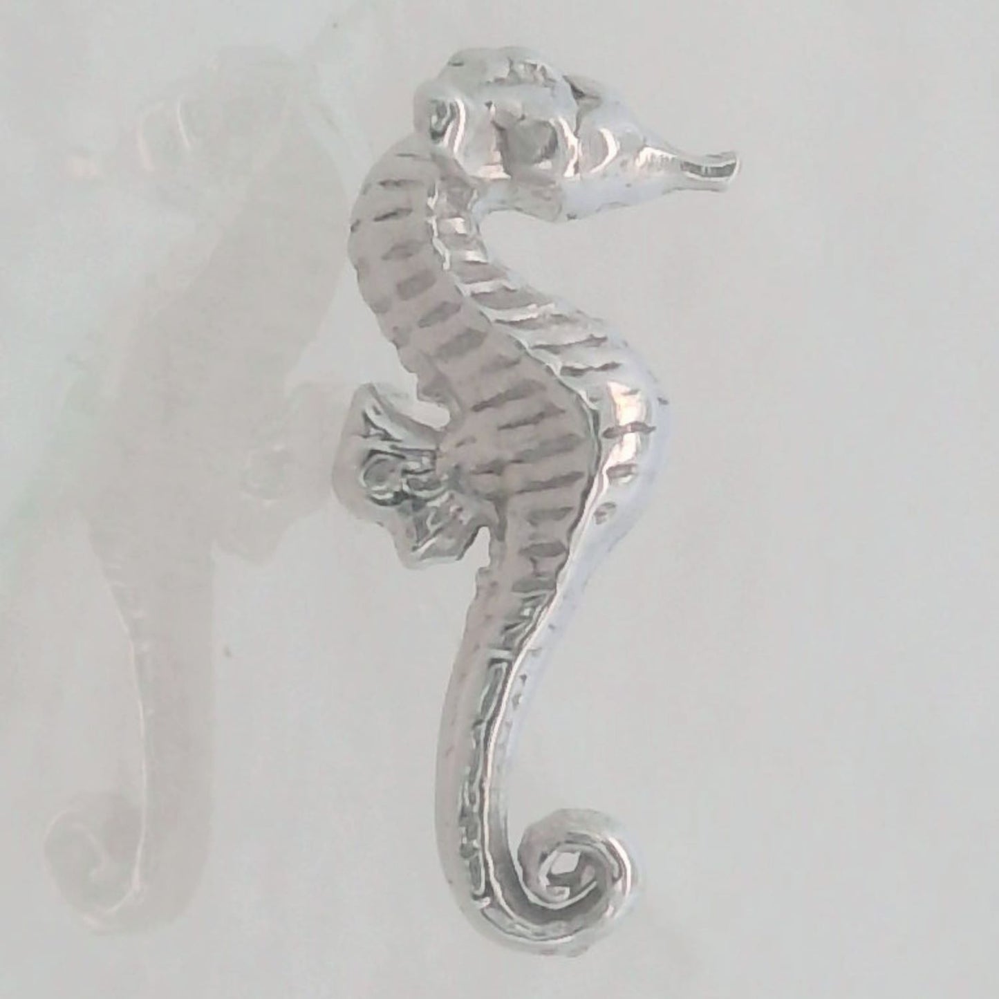 Seahorse