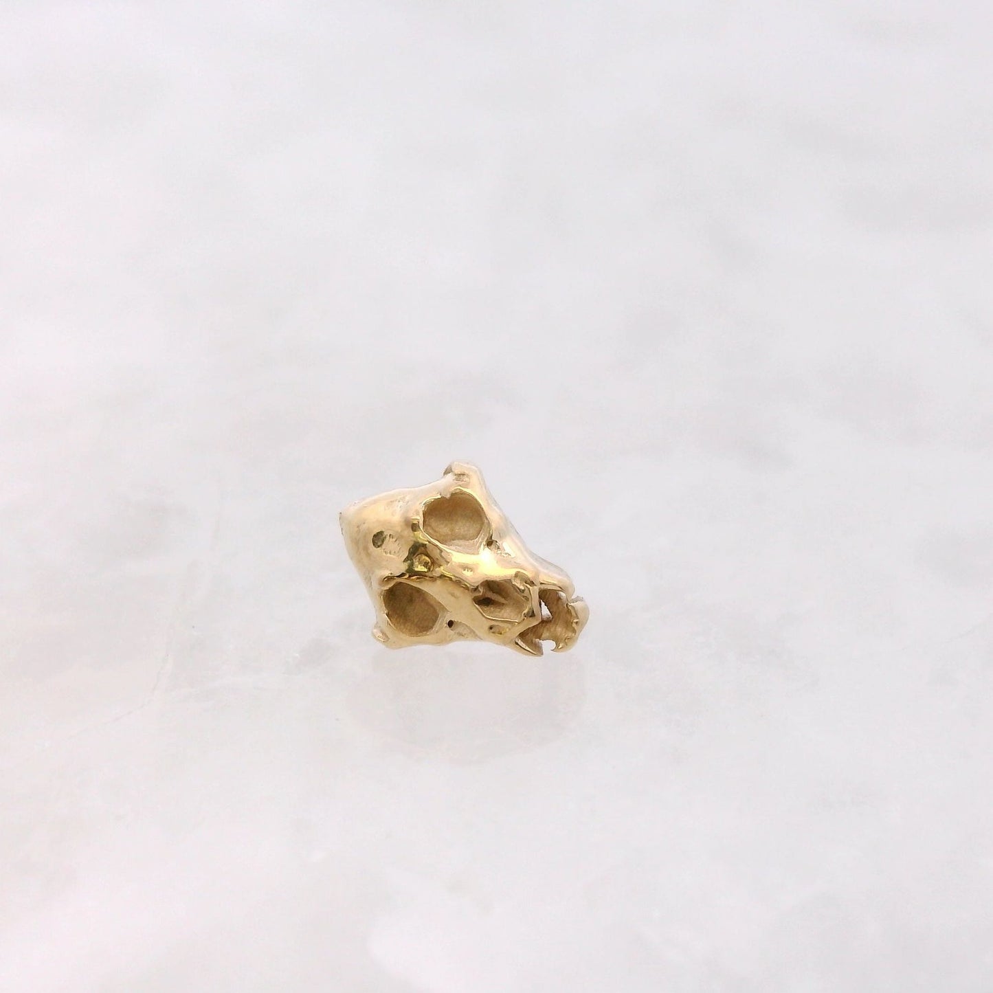 Panther Skull