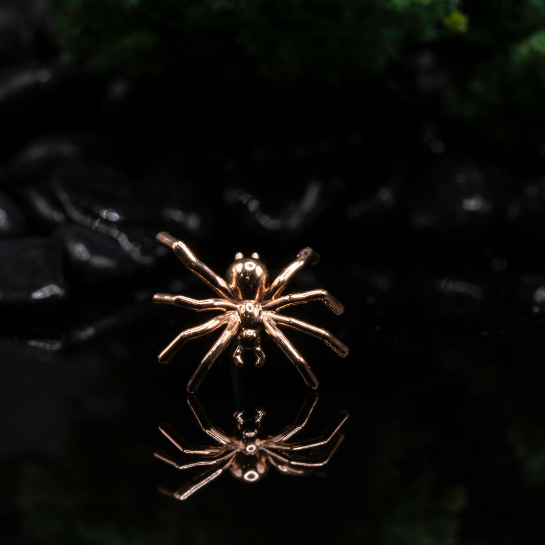 Large Spider