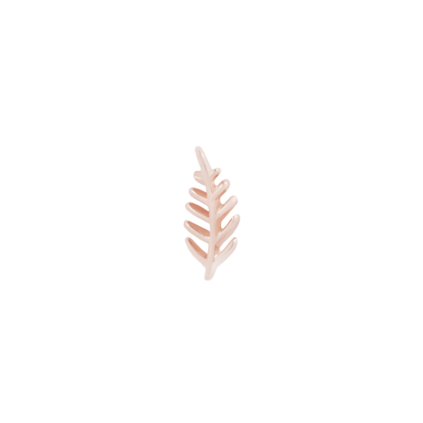 Wee Fronds