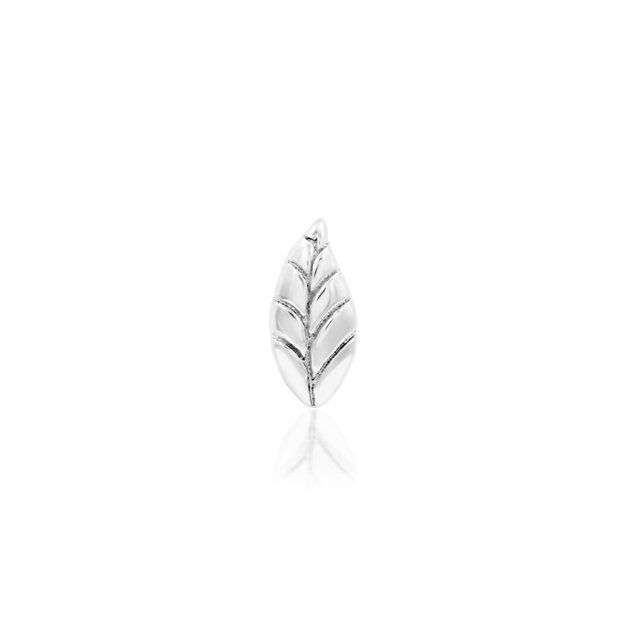 Bay Leaf