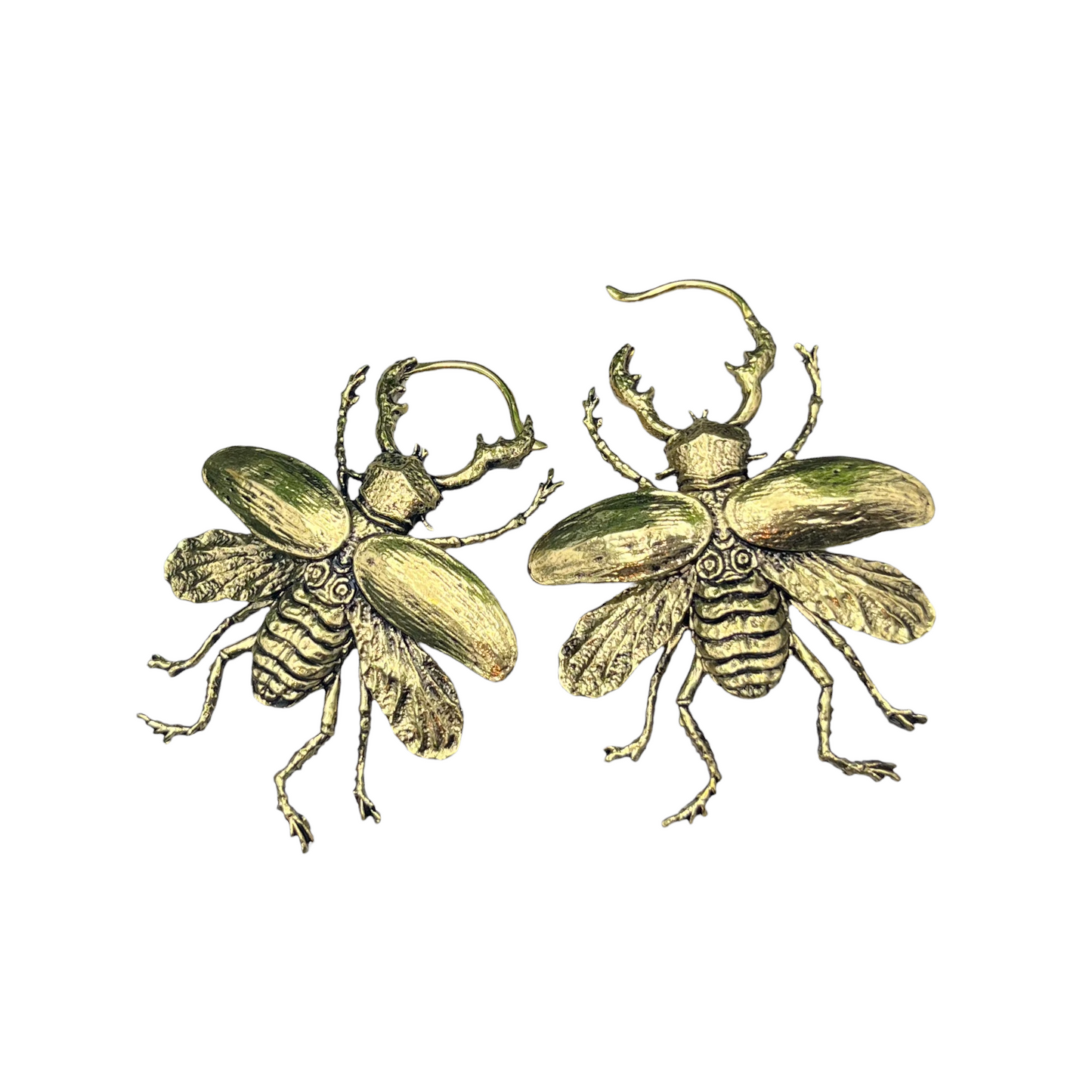 Beetle Earrings