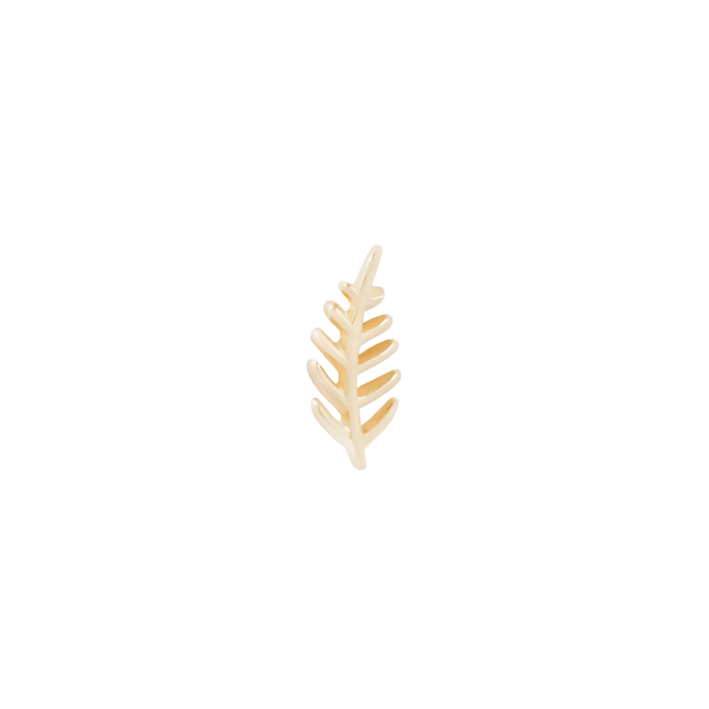 Wee Fronds