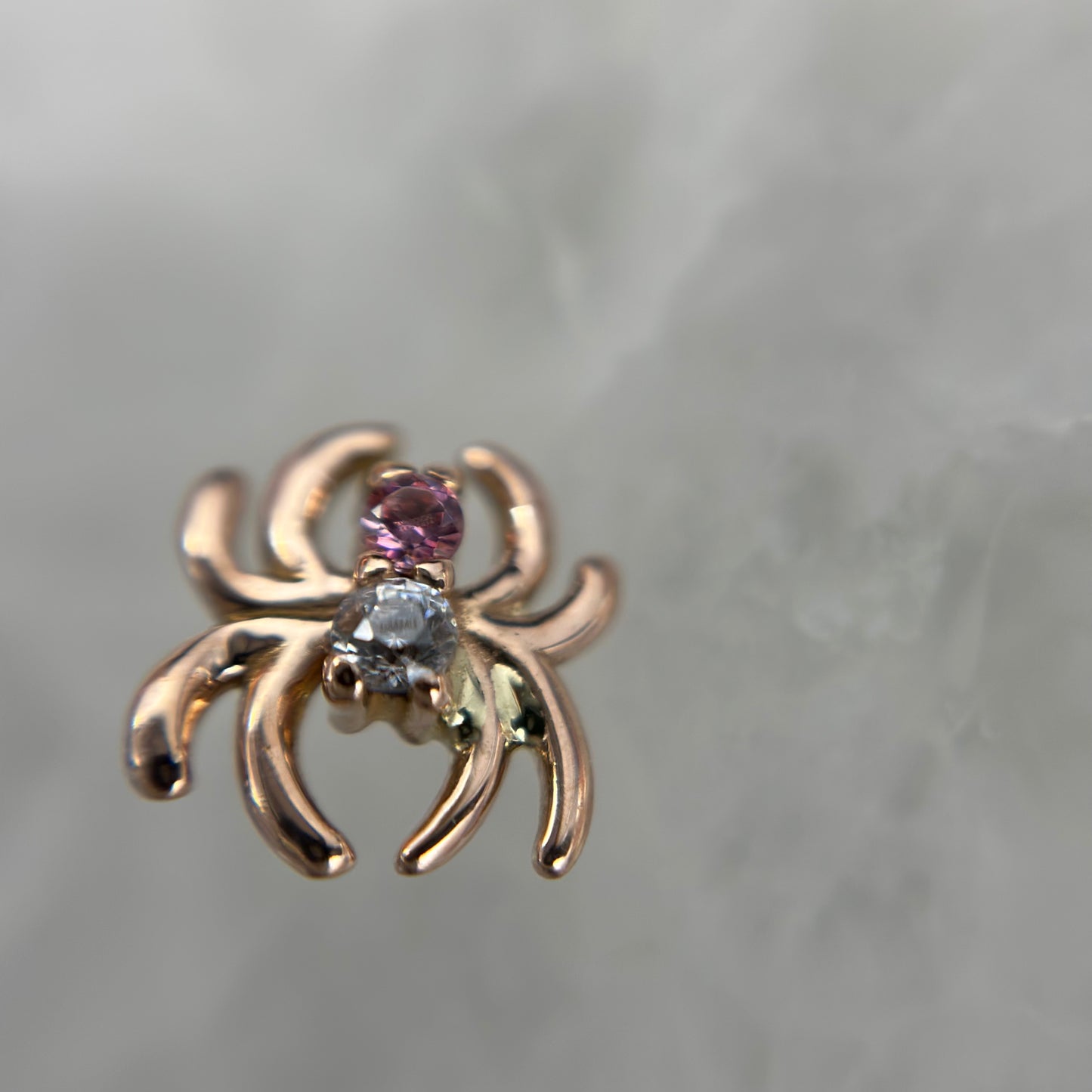 Venomous Spider