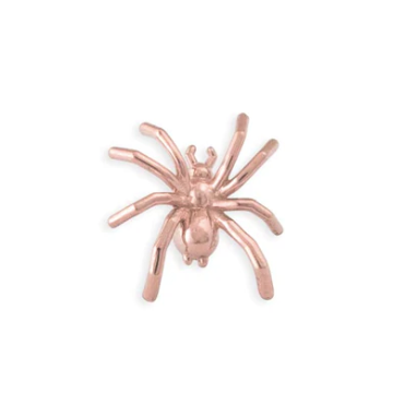 Large Spider
