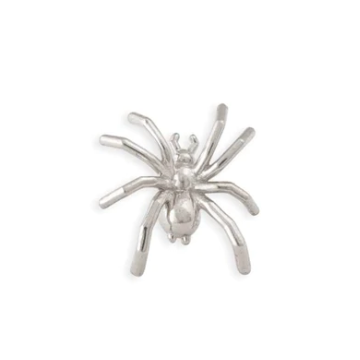Large Spider