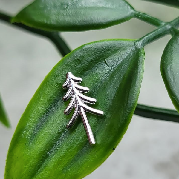 Evergreen Tree