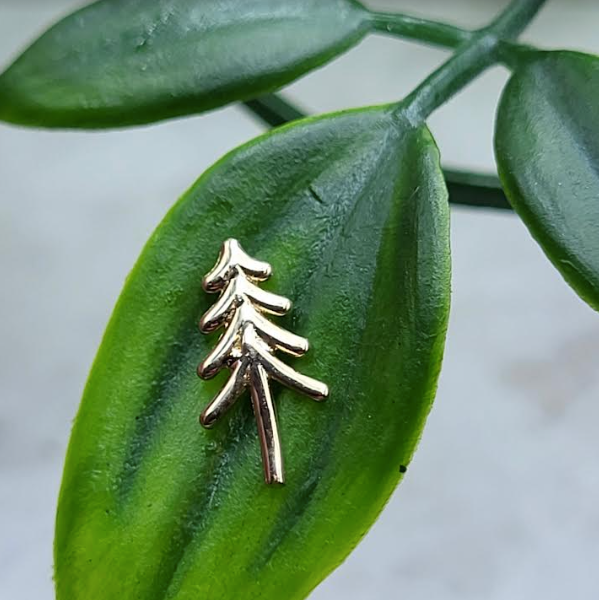 Evergreen Tree