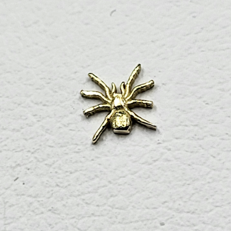 Tooth Gem - Spider