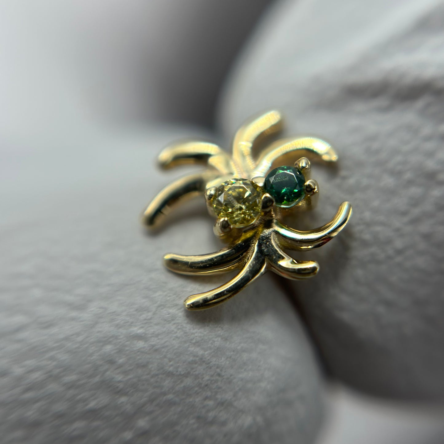 Venomous Spider