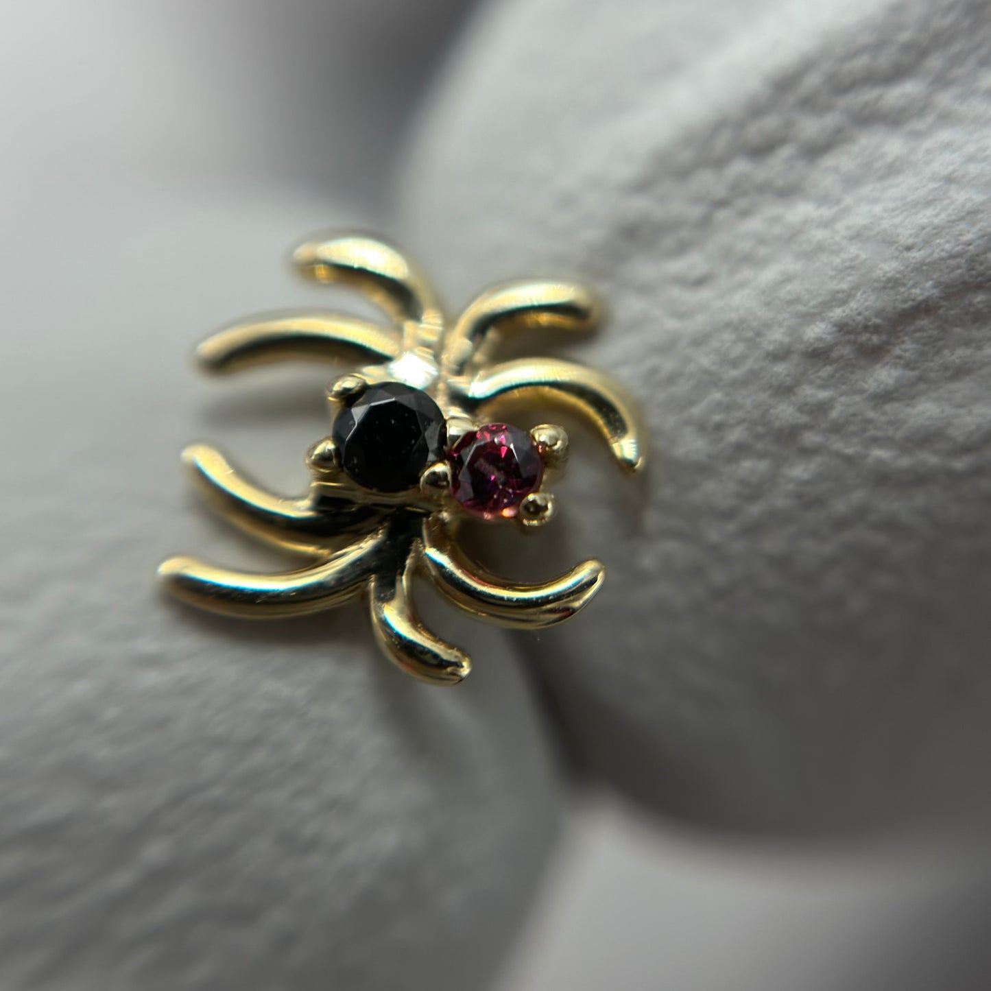 Venomous Spider