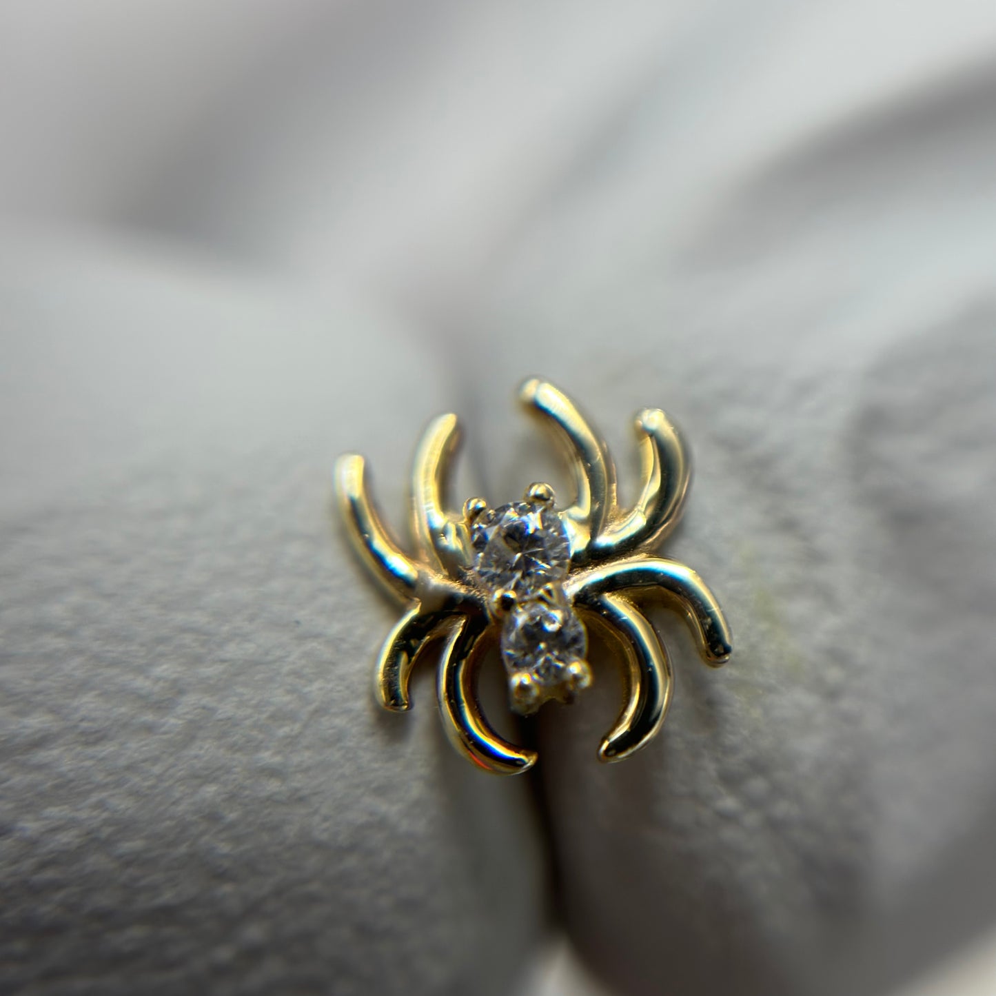 Venomous Spider