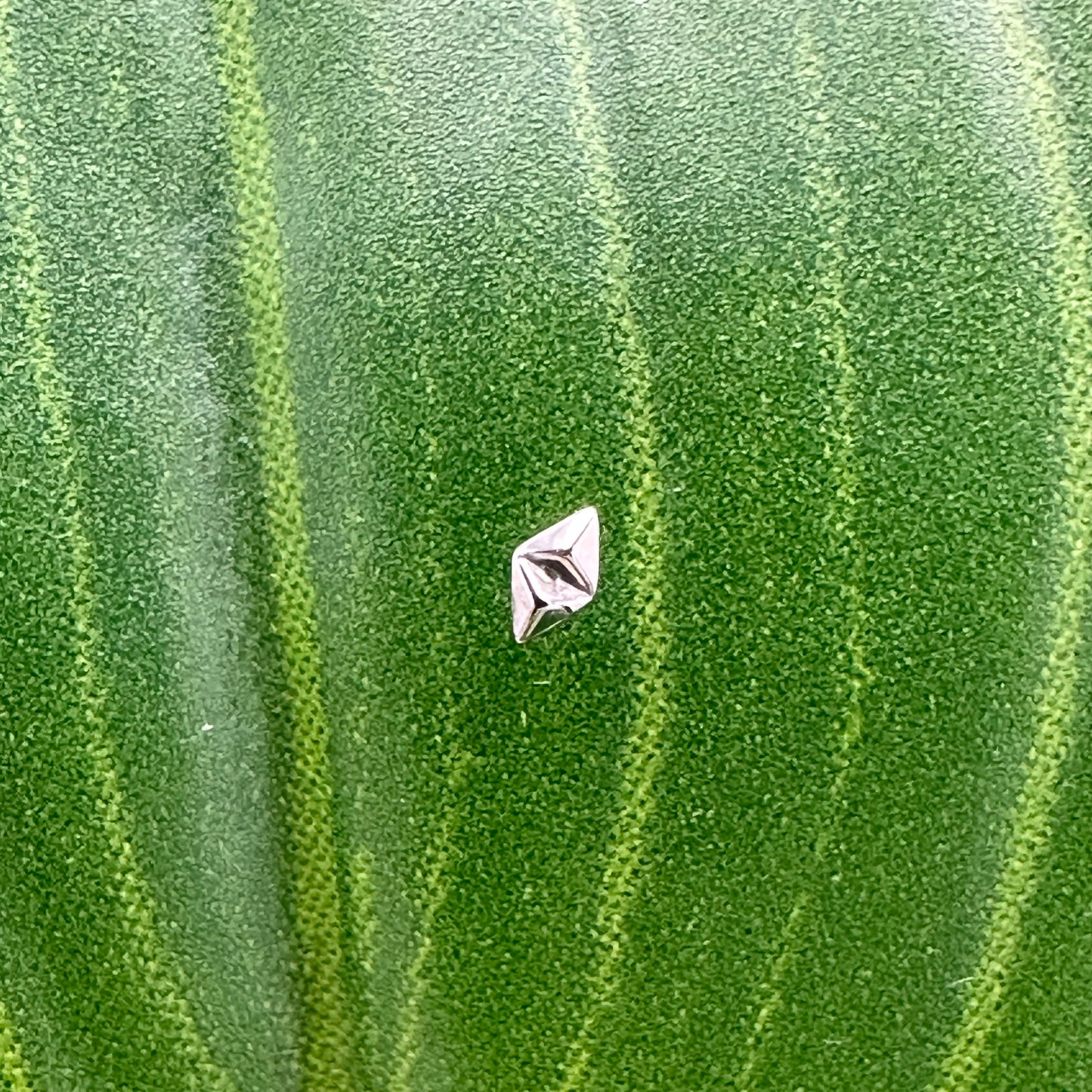 Double Spike