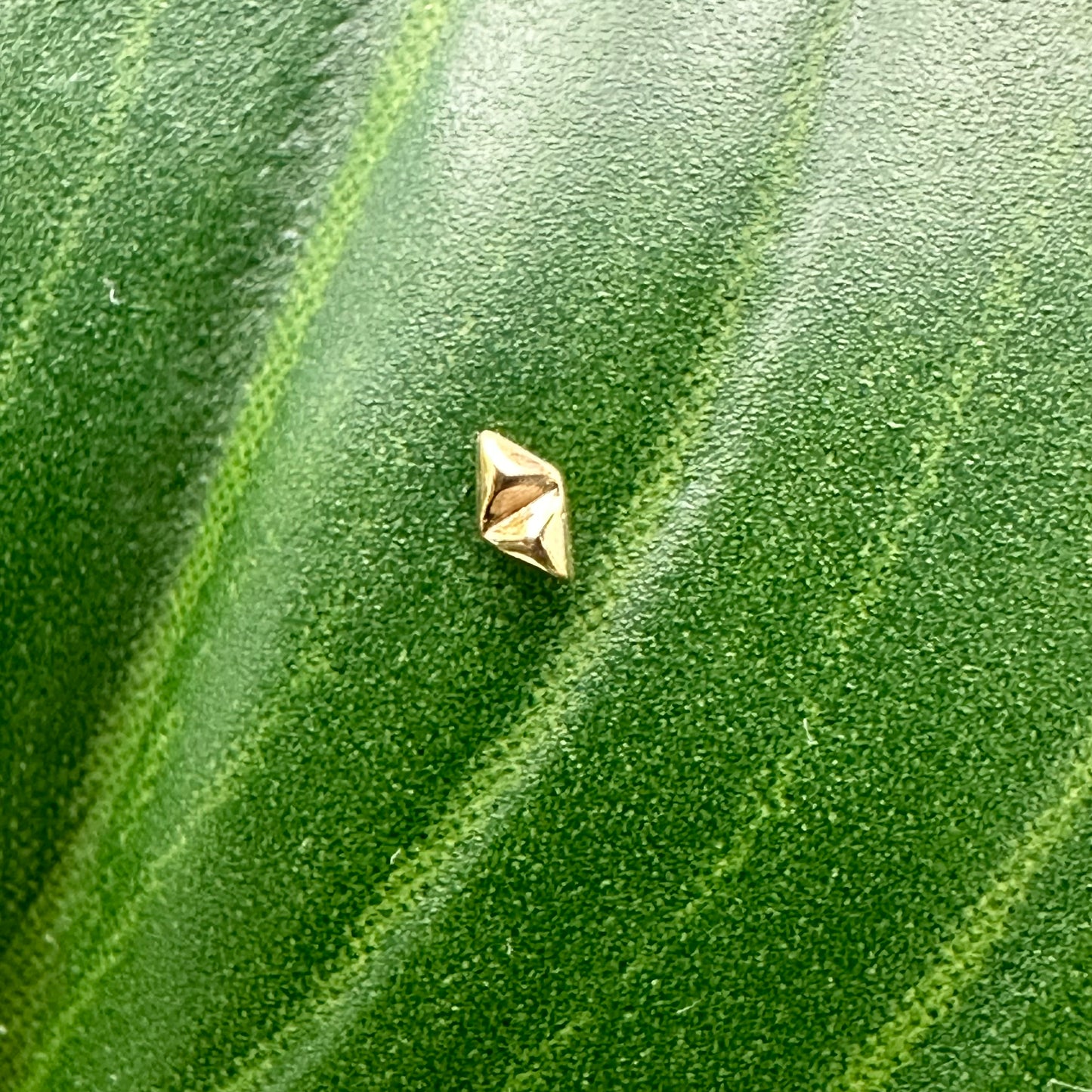 Double Spike
