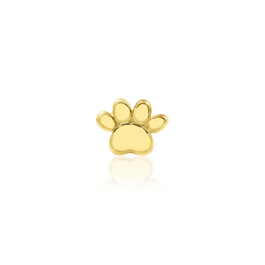 Mini Paw