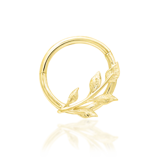 Terra
