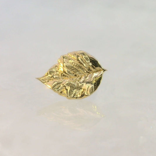 Elm Leaf 1A