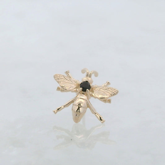 Wasp