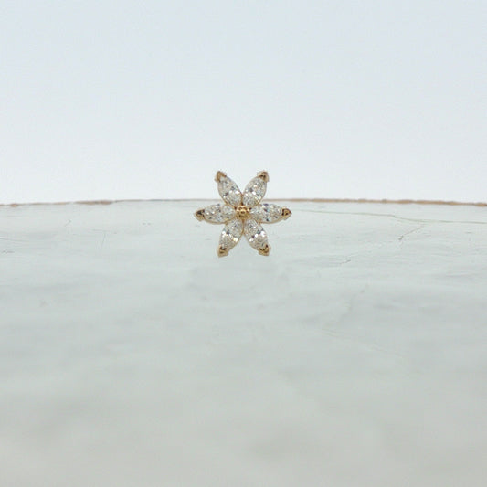 Asphodel