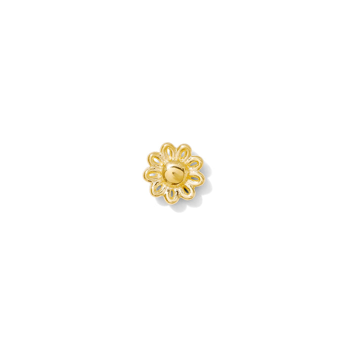 Blossom