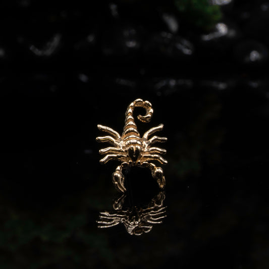 Scorpion