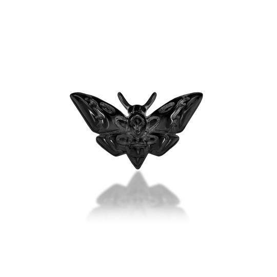 Death's Head Moth