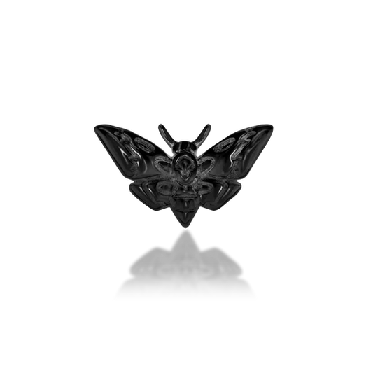 Death's Head Moth